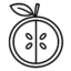 icon-fruit