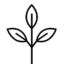 icon-jeune-plante
